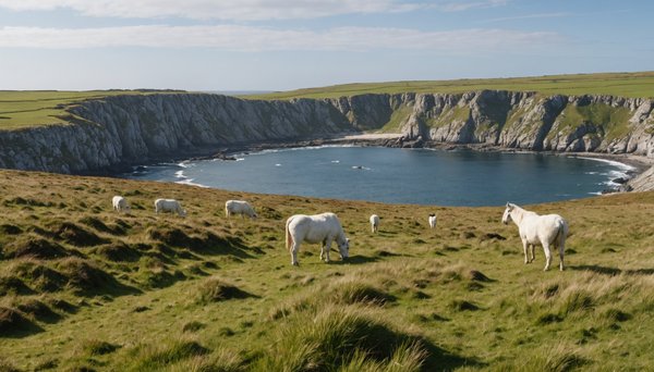 Explorer la nature sauvage du finistere sud